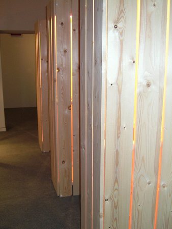 Maggini exhibition