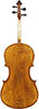 cello Gasparo Bertolotti da Salò