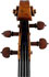 viola Pellegrino di Zanetto De Micheli