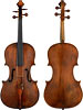 viola Pellegrino di Zanetto De Micheli