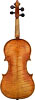 violin Pietro Giacomo Rogeri